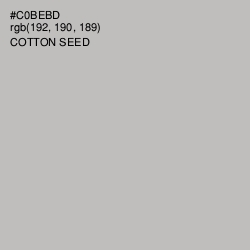 #C0BEBD - Cotton Seed Color Image